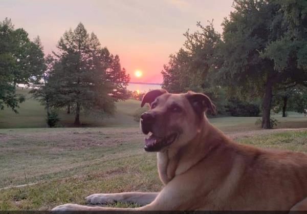 /Images/uploads/Halifax Humane Society Inc/hhs-best-friends-2023/entries/29258thumb.jpg